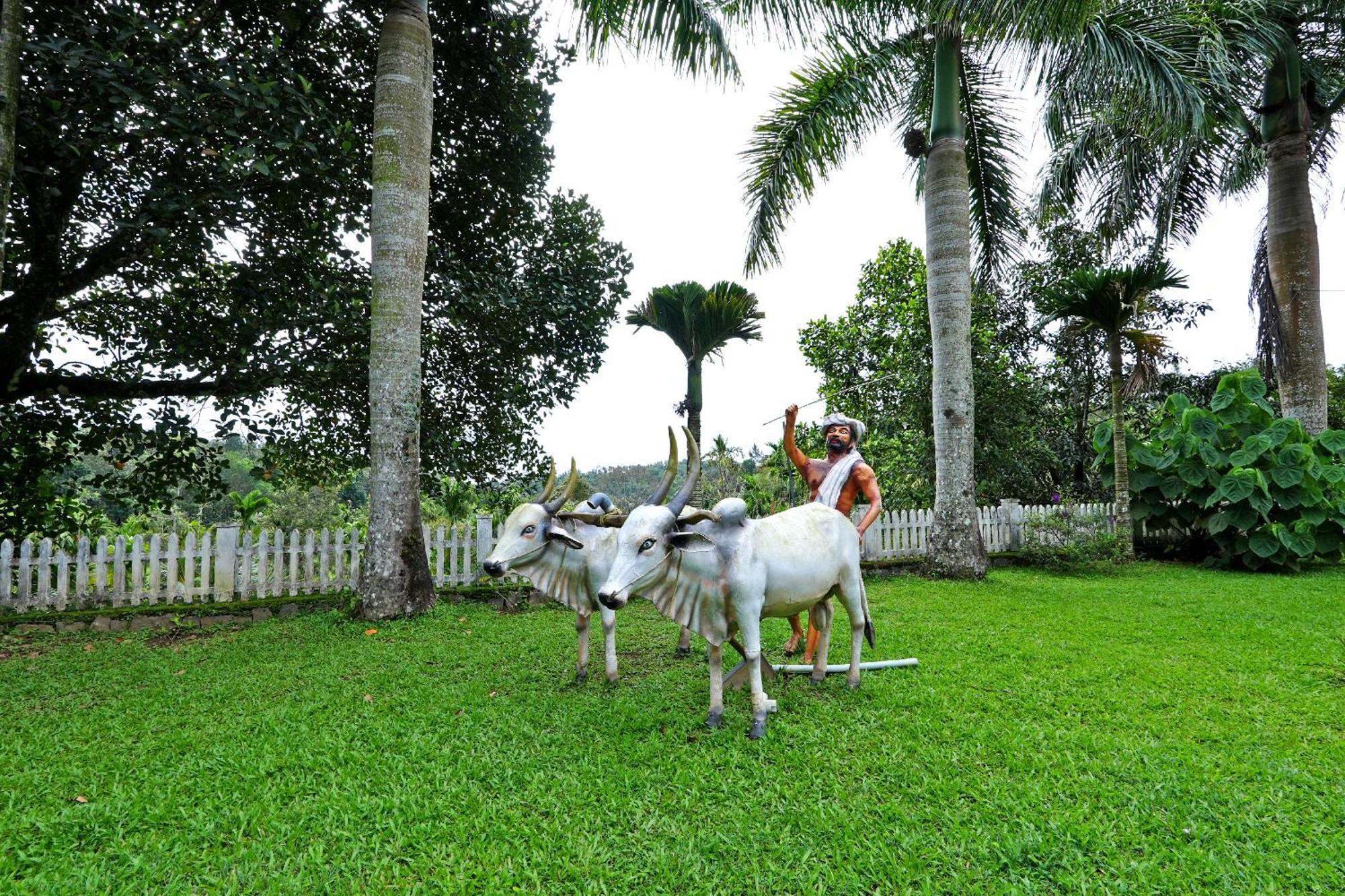 Leisure Homestay - Pool, Boating, Zipline, Home Food, Estate Chikmagalūr Extérieur photo