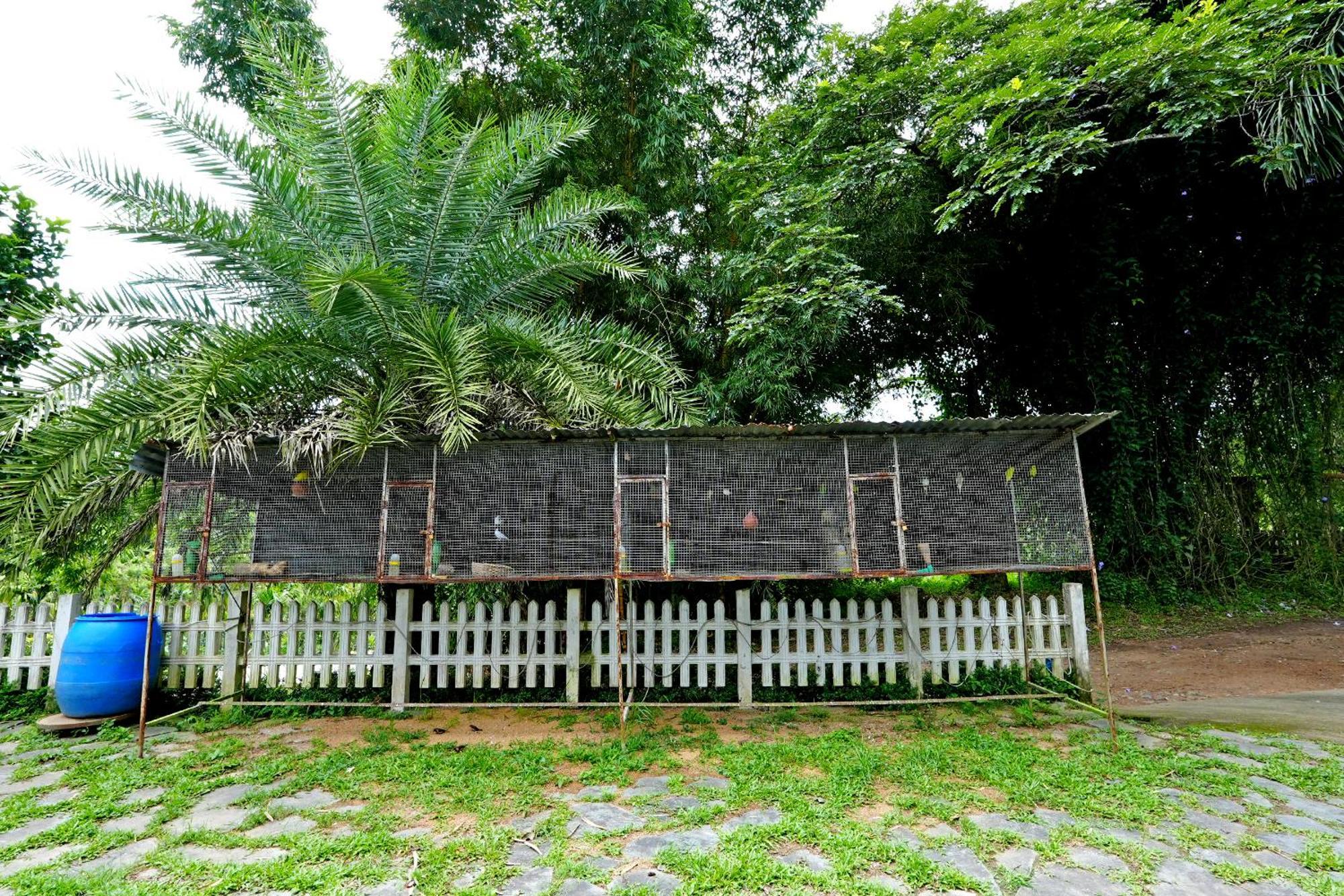 Leisure Homestay - Pool, Boating, Zipline, Home Food, Estate Chikmagalūr Extérieur photo