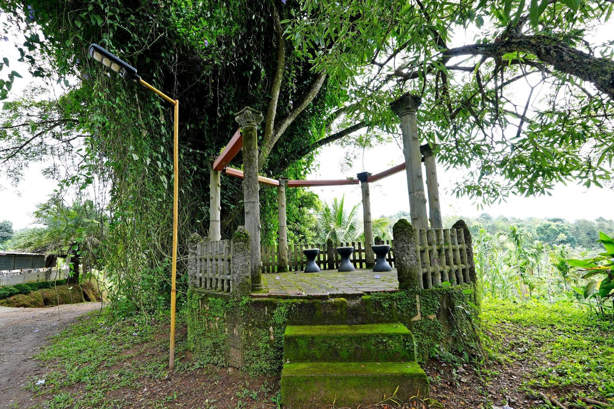 Leisure Homestay - Pool, Boating, Zipline, Home Food, Estate Chikmagalūr Extérieur photo