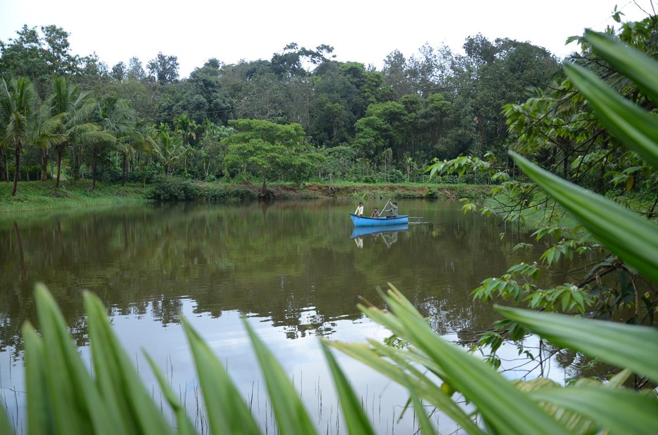 Leisure Homestay - Pool, Boating, Zipline, Home Food, Estate Chikmagalūr Extérieur photo